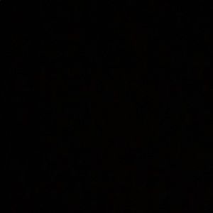 Meet your Posher, Sofia